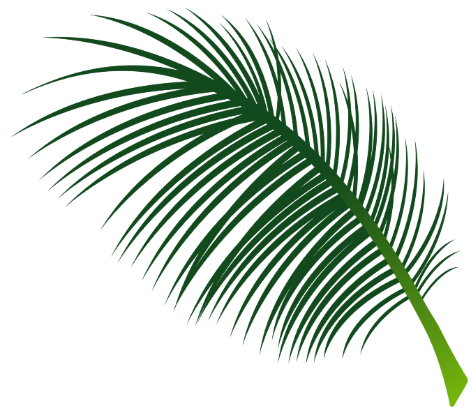 Daun Palem Kanan