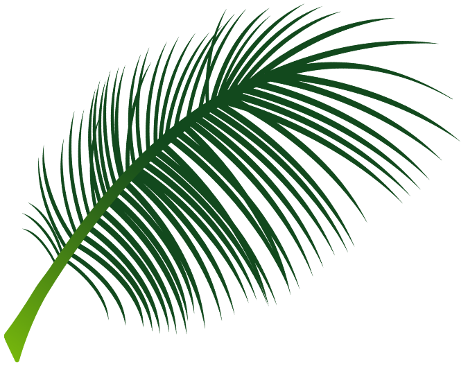 Daun Palem Kiri