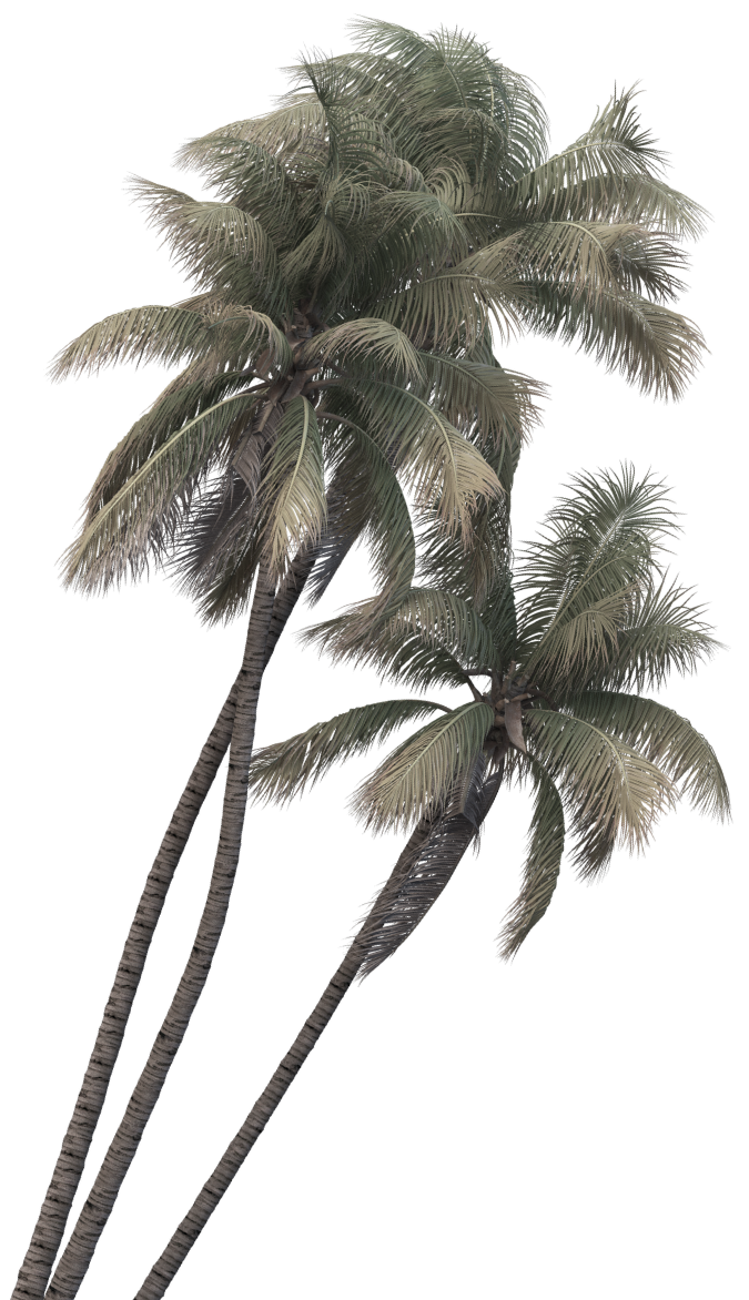 Daun Kiri Atas
