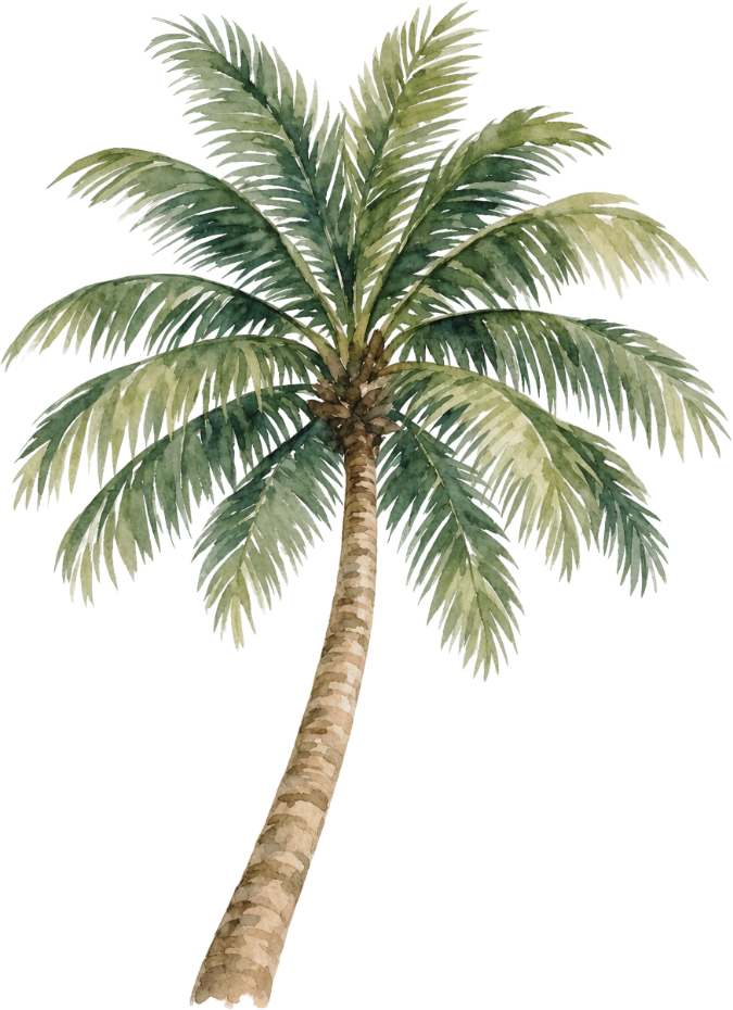 Pohon Kelapa